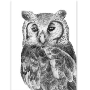 Verreaux's eagle-owl